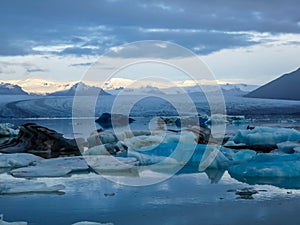 Iceland - Glacier lagoon with drifting icebergs and the glacier itself in the back