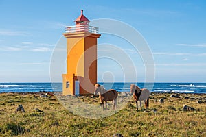 Iceland Horses at the Stafnesviti Lighthouse on Reykjanes Peninsula, Iceland