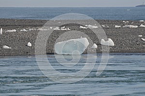 Iceland iceberg on the shore of a lagoon