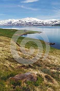 Iceland landspace with fjord and mountain photo