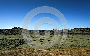 Iceland lava field covered with green moss