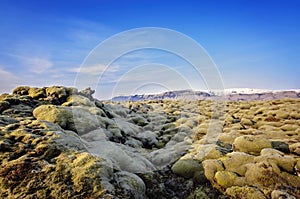 Iceland Lava field