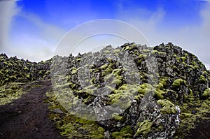 Iceland Lava field