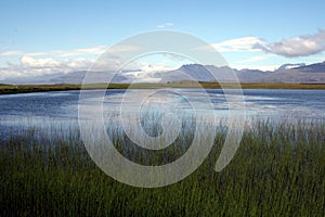 Iceland Marshes