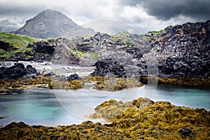 Iceland rocky coast landscape