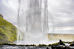 Iceland\'s iconic waterfall, Seljalandfoss: a breathtaking beauty