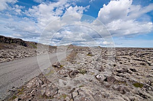 Iceland's lava fields