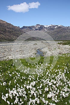 Iceland - Skaftafell National Park