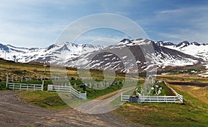 Iceland summer landscape. Fjord, house.