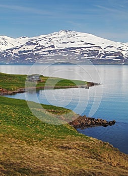 Iceland summer landscape. Fjord.