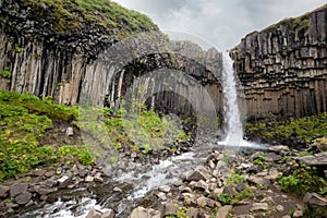 Iceland. Svartifoss waterfall, river, volcanic basalt rock columns. National Park of Skaftafell.