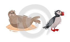 Iceland Symbols with Atlantic Puffin and Sea Calf Vector Set