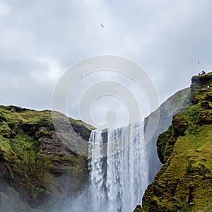 Iceland waterfall Skogafoss in Icelandic nature landscape. Famous tourist attractions and landmarks destination in Icelandic