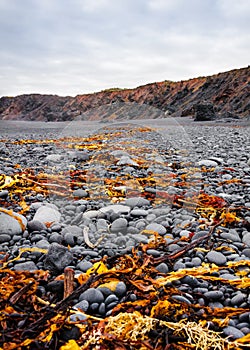Icelandic beach with black lava rocks, Snaefellsnes peninsula, Iceland photo
