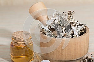 Icelandic cetraria, healing healthy dried moss in a wooden mortar, pipette and jar with tincture of the medicine. Alternative