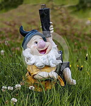 Icelandic_Dwarf-2