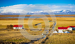 Icelandic farm houses and barns with bright red roofs and snow