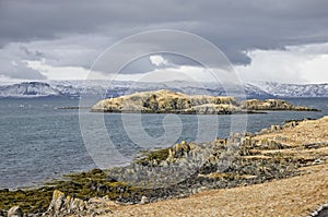 Icelandic fjord view