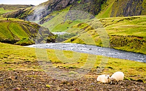 Icelandic Hillside