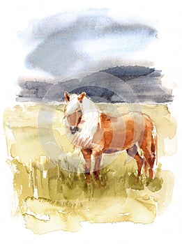 Icelandic Horse Watercolor Animal Illustration Nature Mountains Hand Painted