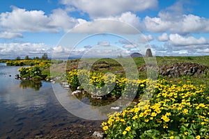 Icelandic landscape at Myvatn Lake photo