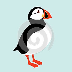 Icelandic Puffin bird icon