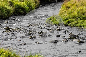 Icelandic river with grass