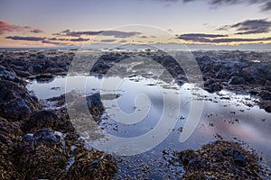 Icelandic Rocky Beach