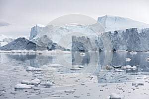 Ices and icebergs of polar regions of Earth.