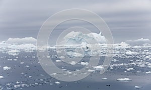 Ices and icebergs of polar regions of Earth.