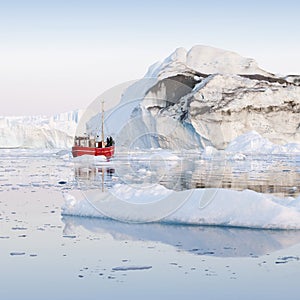 Ices and icebergs of polar regions of Earth.