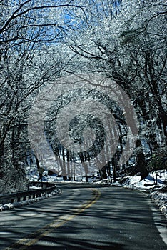 Icey Mountain Road photo