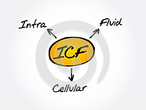 ICF - intracellular fluid acronym, medical concept background