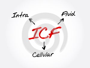 ICF - intracellular fluid acronym, medical concept background