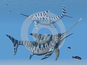 Ichthyosaur Eurhinosaurus