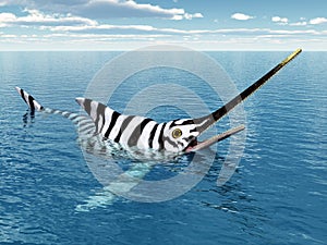 Ichthyosaur Eurhinosaurus