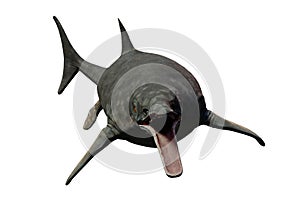 Ichthyosaur, extinct marine reptile from Early Triassic to Late Cretaceous, isolated on white background, 3d science render