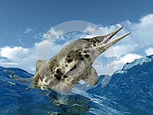 Ichthyosaur Stenopterygius