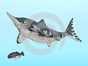 Ichthyosaur Stenopterygius