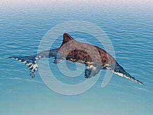 Ichthyosaur Stenopterygius