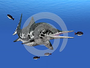 Ichthyosaur Stenopterygius