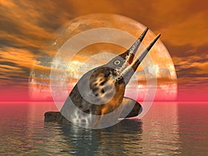 Ichthyosaur Stenopterygius