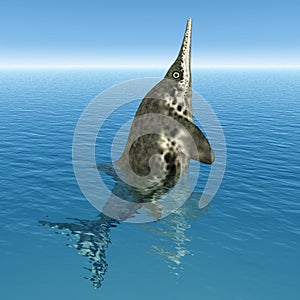 Ichthyosaur Stenopterygius