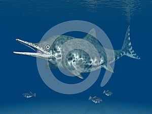 Ichthyosaur Stenopterygius