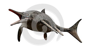 Ichthyosaur, extinct marine reptile from Early Triassic to Late Cretaceous, isolated on white background, 3d paleoart rendering photo