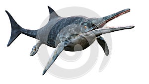 Ichthyosaur, large extinct marine reptile from Early Triassic to Late Cretaceous, isolated on white background, 3d science photo