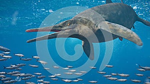 Ichthyosaur swimming in the ocean, extinct marine reptile from Early Triassic to Late Cretaceous, 3d paleoart rendering