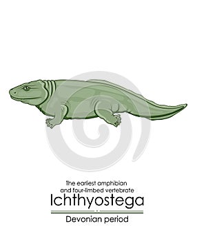 Ichthyostega is the earliest amphibian photo