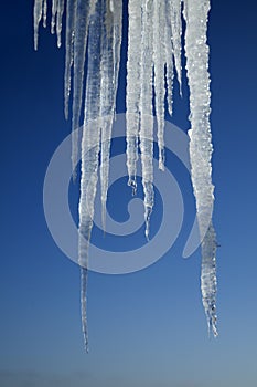 Icicle