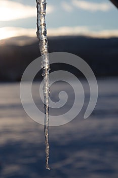 Icicle